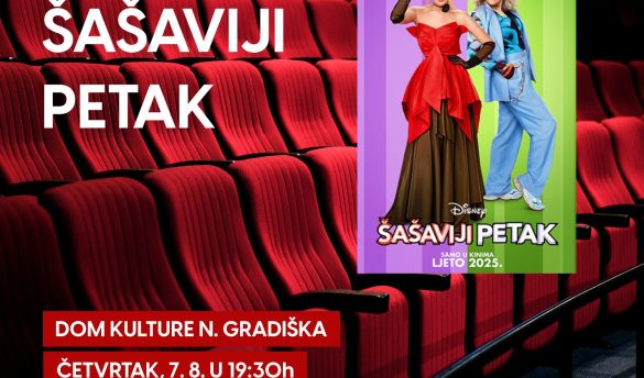 ŠAŠAVIJI PETAK - plakat